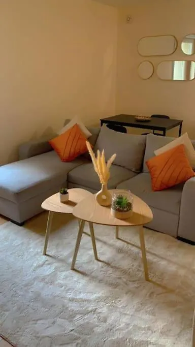 Super T2 Meuble En Bord De Seine Apartment Villeneuve-le-Roi France
